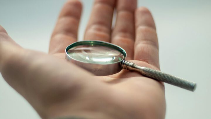 Rolle des Aufsichtsrates bei der Wivertis GmbH – Antrag der Fraktion FWG/Pro Auto vom 11.03.2025