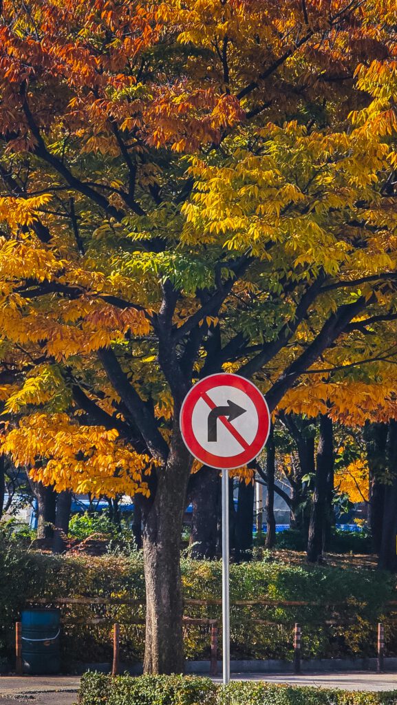 Abbiegespur am Landeshaus dauerhaft öffnen – Antrag der Fraktion FWG/PRO AUTO vom 19.08.2025