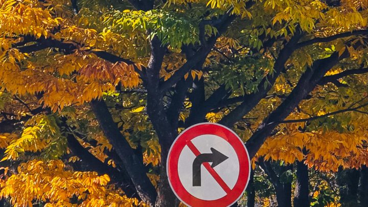 Sachstandsbericht Abbiegespur Am Landeshaus und Biebricher Allee – Antrag der Fraktion FWG/Pro Auto vom 12.03.2025