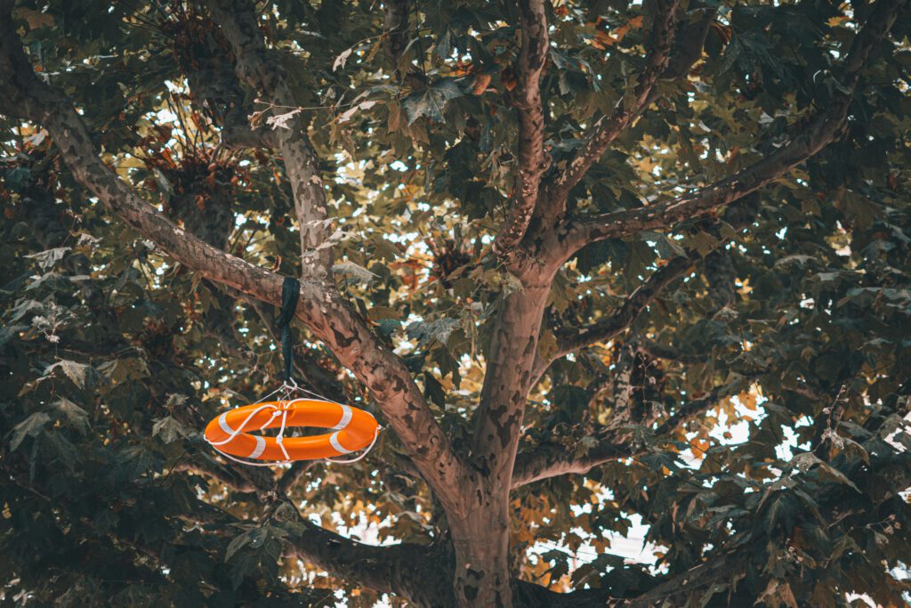 Sachstandsanfrage Hofgut Klarenthal – Antrag der Fraktion FWG/Pro Auto vom 29.01.2025