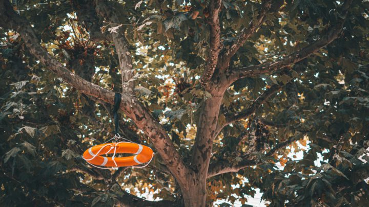 Sachstandsanfrage Hofgut Klarenthal – Antrag der Fraktion FWG/Pro Auto vom 29.01.2025